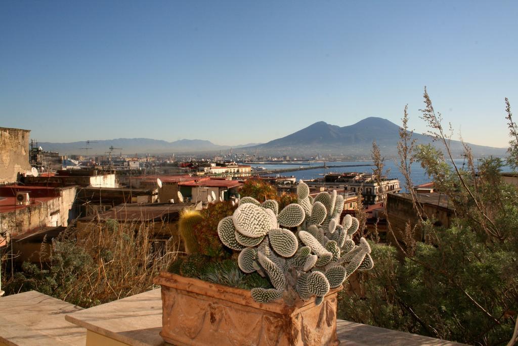 Alma De Templarsf - Stunning Design Home With Sea View And Terrace Nápoles Habitación foto